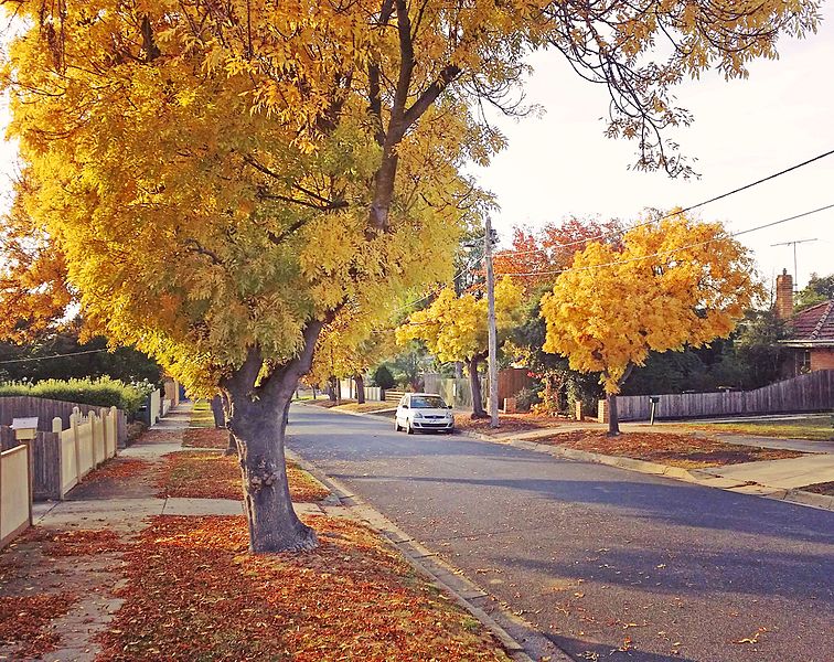 Selling Property in Autumn